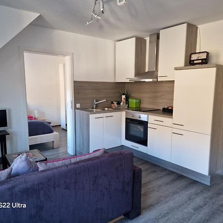 Ferienwohnung Vier Pfoten Willingen  Exterior foto