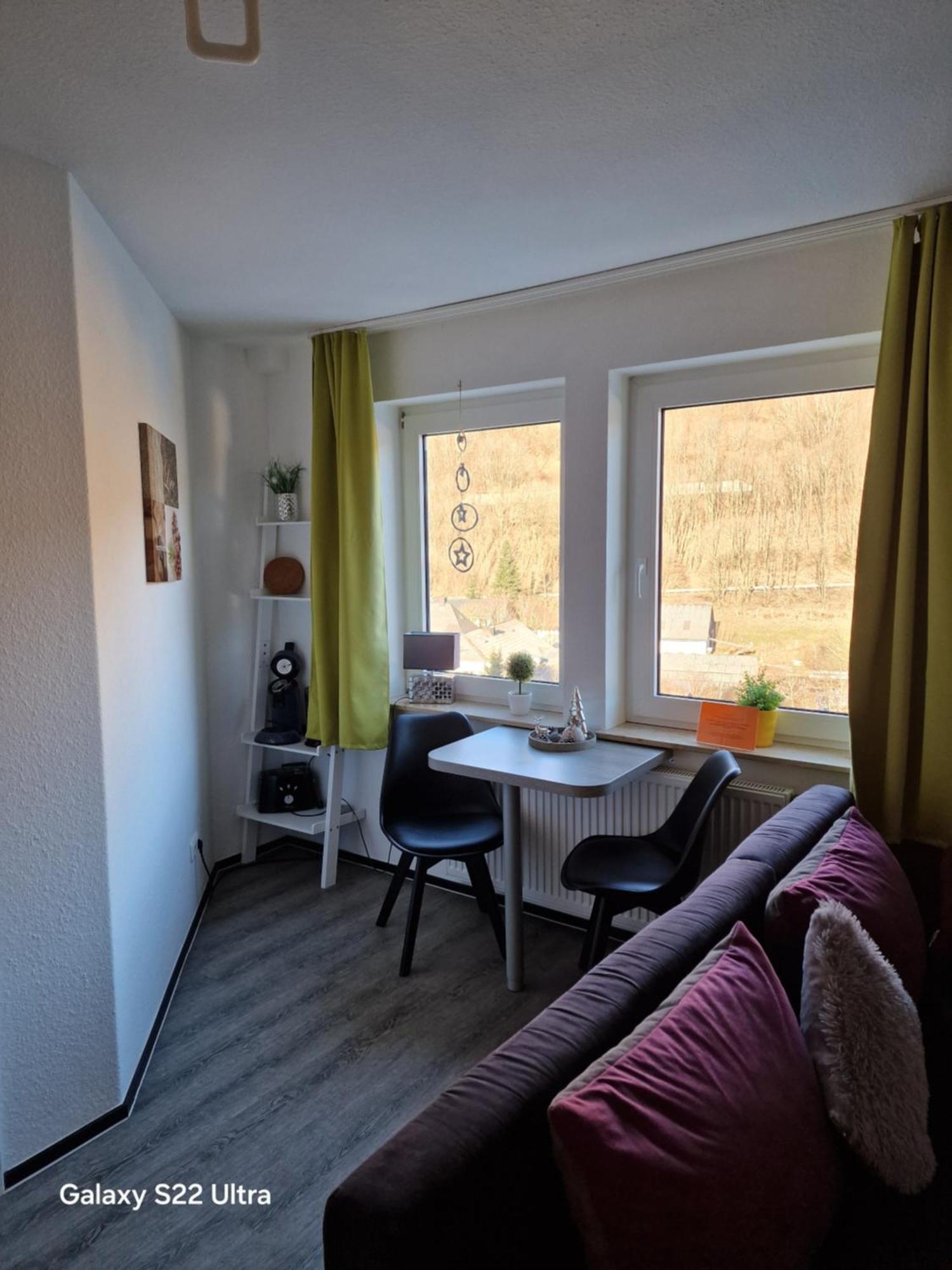 Ferienwohnung Vier Pfoten Willingen  Exterior foto