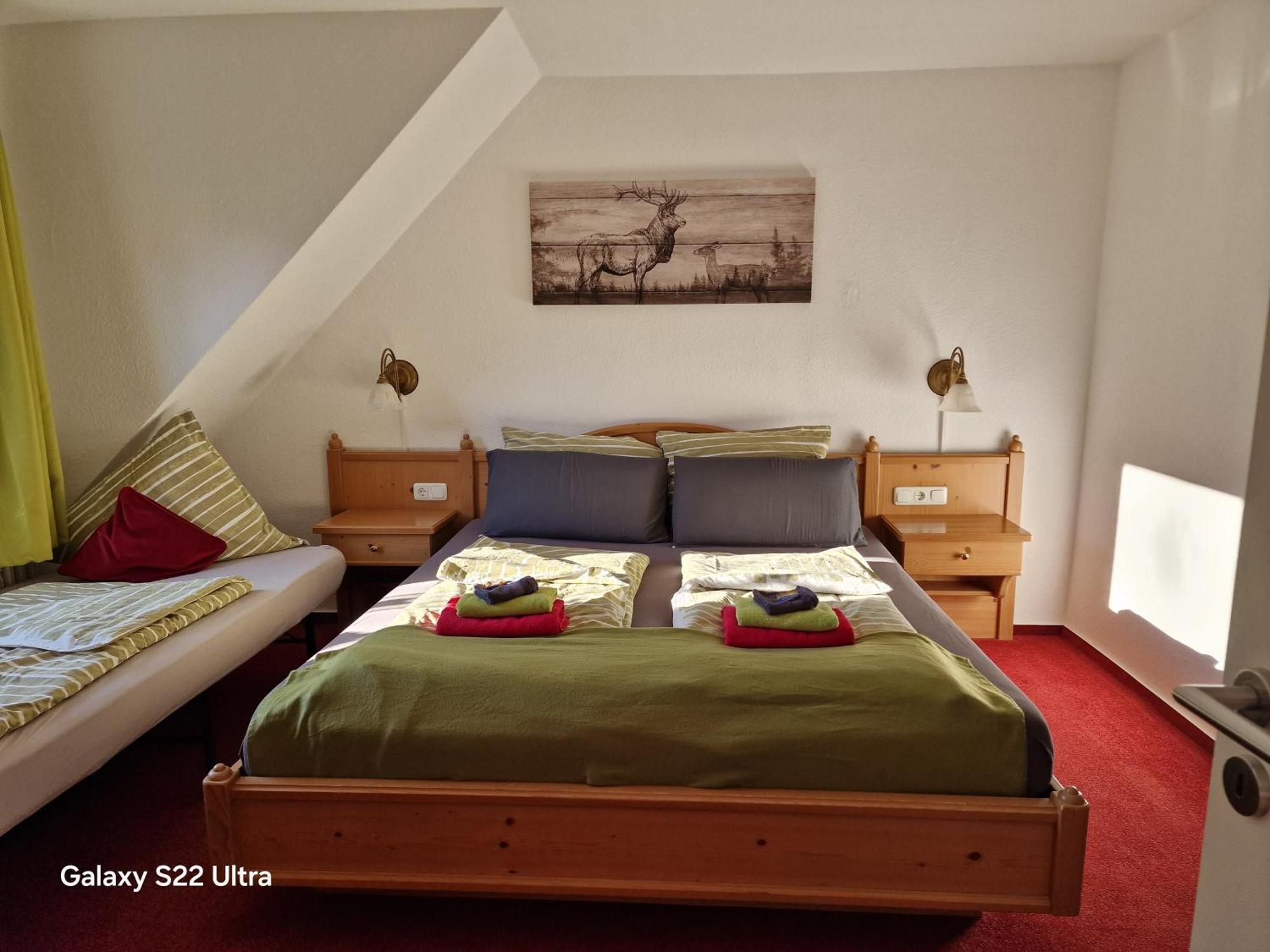 Ferienwohnung Vier Pfoten Willingen  Exterior foto