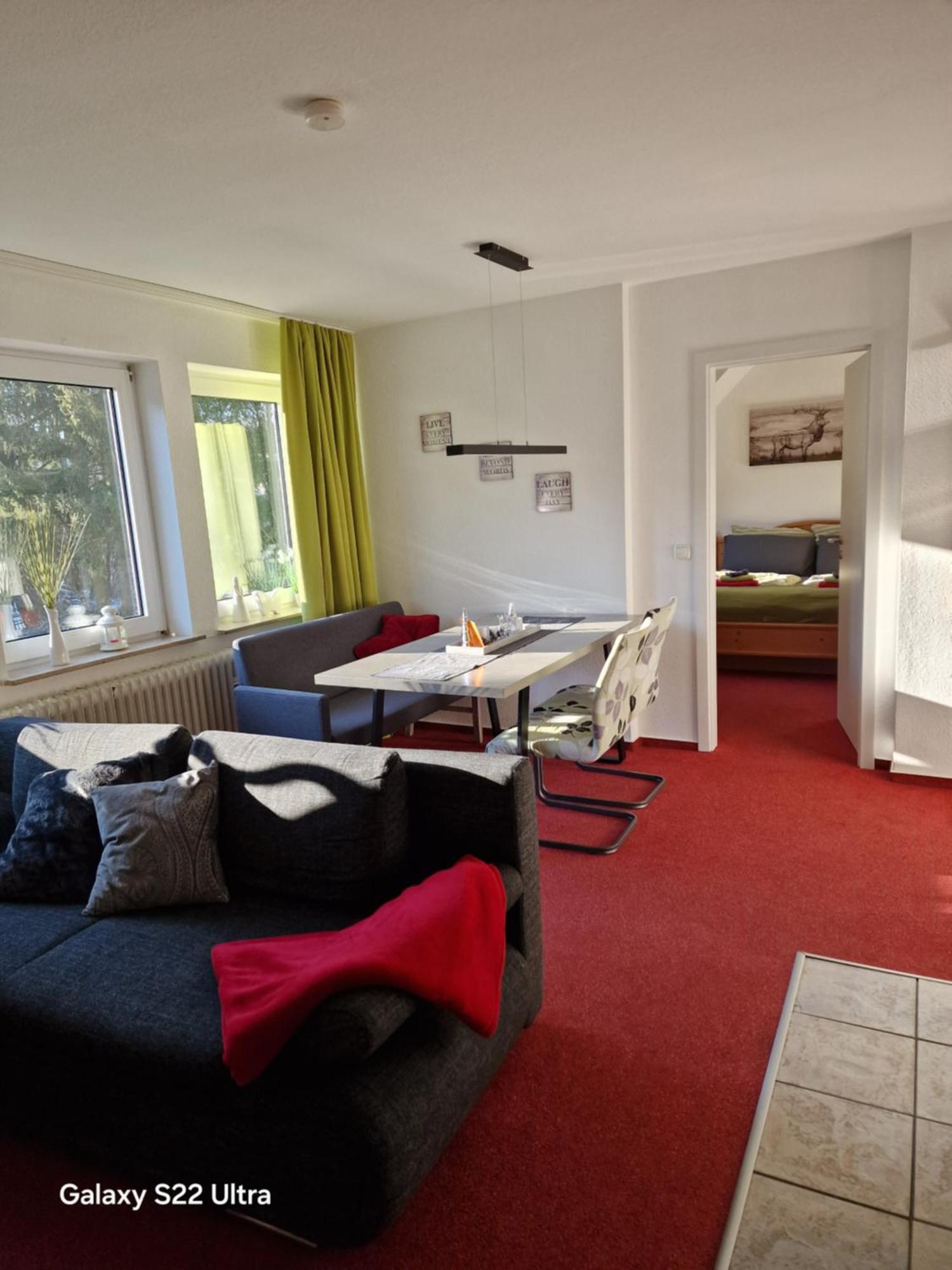 Ferienwohnung Vier Pfoten Willingen  Exterior foto