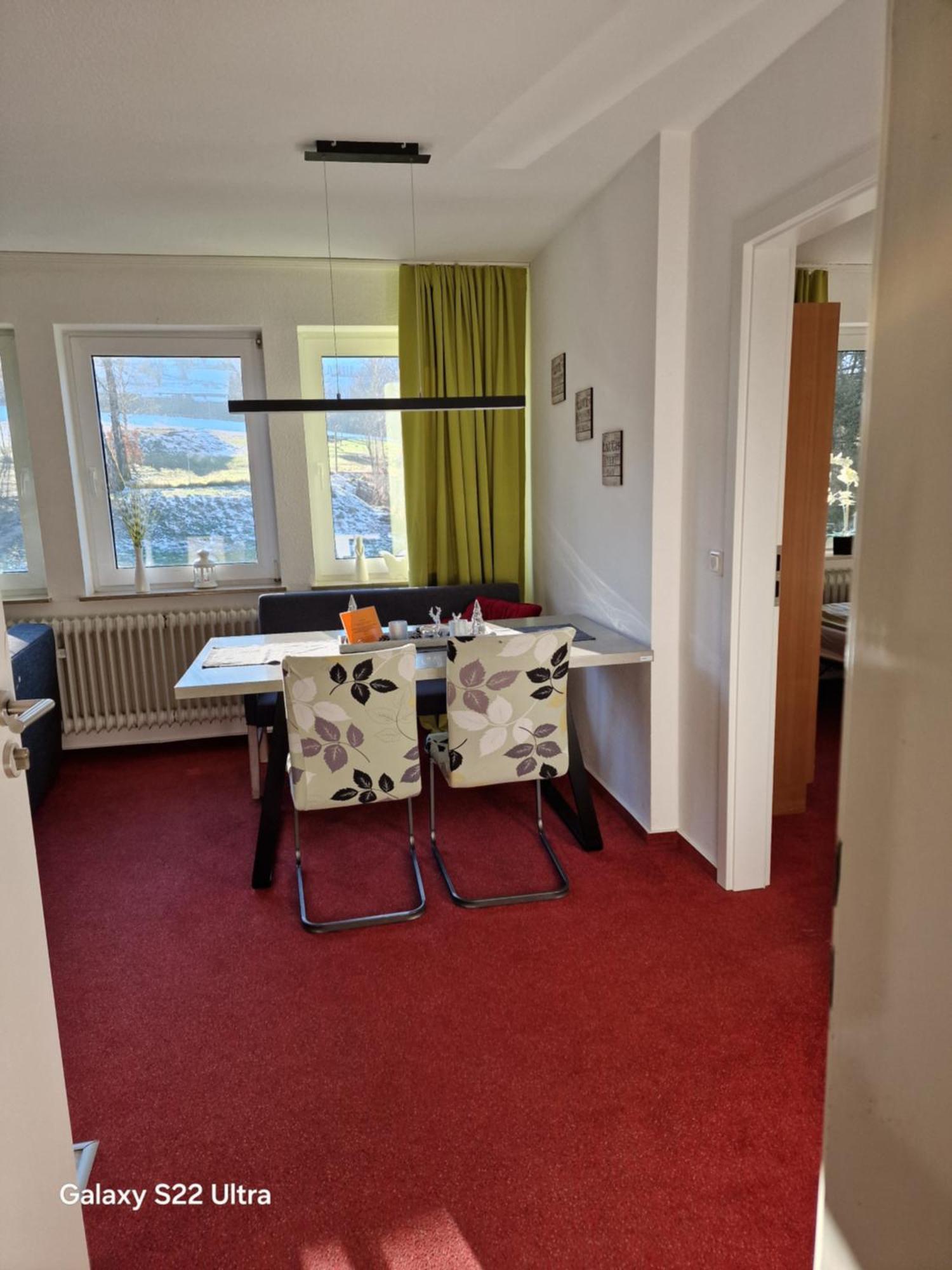Ferienwohnung Vier Pfoten Willingen  Exterior foto